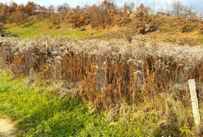 Teren de 2400 mp, în Central - 4