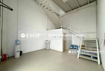 Spațiu comercial, de 2,450 mp, în Mogoșoaia - 4