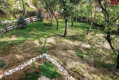 Casă cu 4 camere în Valea Doftanei - 8