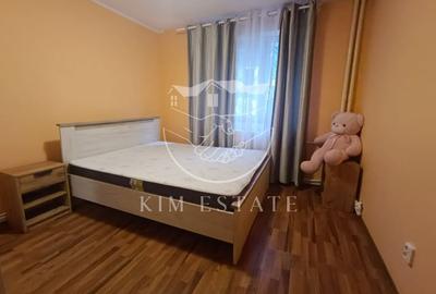Apartament cu 2 camere semidecomandat, mobilat în Brotăcei