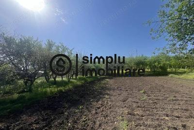 Teren Intravilan Central Ghercesti - 1