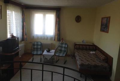 Casă cu 7 camere în Elisabetin - 11