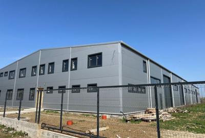 Spatiu depozitare si productie Chitila - 2