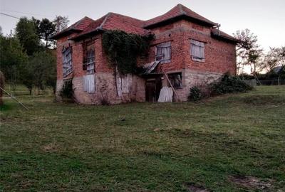 Casă cu 6 camere cu Teren 1200 Mp în Damiș - 10