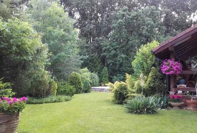 Casă individuală cu 9 camere cu Garaj în Corbeanca - 8