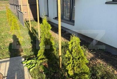 Apartament 3 camere de vanzare cu gradina si parcare - 12