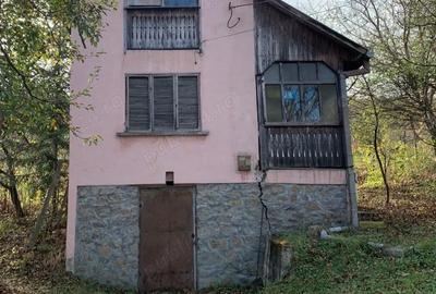 Teren de 4300 mp, în Vest - 3