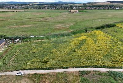 De vanzare teren de 3091 mp in Lilieci / Strada Tulbuc - Bacau - 2