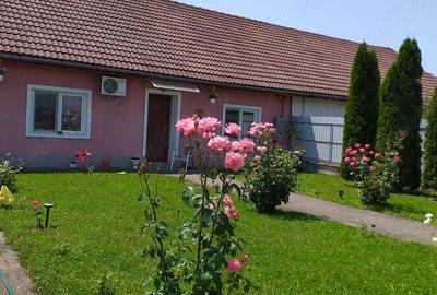 Vand casa caramida Vand casa caramida - 8