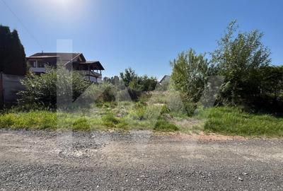 Teren intravilan 1.000 mp de vanzare Talmaciu - 3