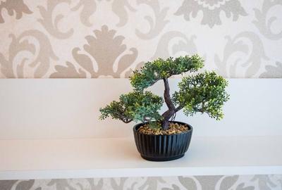 Apartament superb, 2 camere, Piața Unirii - 1