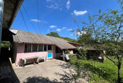 Casă cu 4 camere cu Teren 3600 Mp în Ciovârnășani