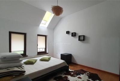 Casa individuala - 250 mp anexa - 10 ari teren - Scheia - 17