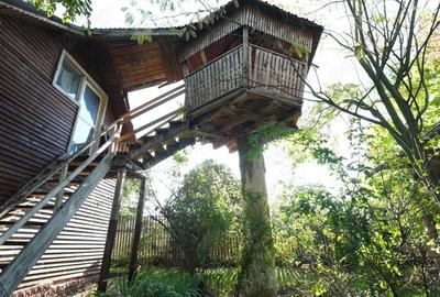 Com. Ileana - Calarasi, 4000 mp. teren si casa de vacanta cu deschidere la Balta - 6