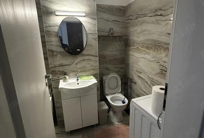 Garsoniera de inchiriat Chiajna - 2