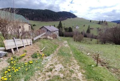 Teren Construcții intravilan de 1336 mp, în Izvoru Mureșului - 5