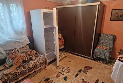 Casă individuală cu 3 camere cu Teren 2850 Mp în Alunișu - 9