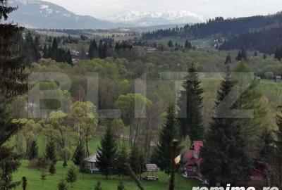 Ocazie unica! Cabana 180 mp utili, teren, Dorna Arini - 1