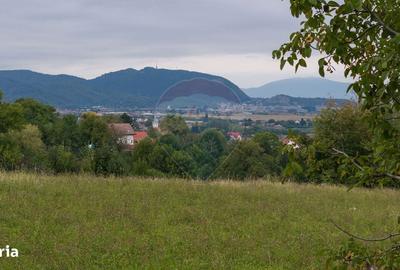 Spațiu comercial, în Poiana Angelescu - 6