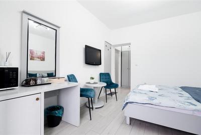 Garsonieră decomandată în Băile Felix - 7