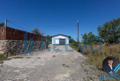 Hala de inchiriat, Sat Valea Seaca, Com. N. Balcescu,... - 5