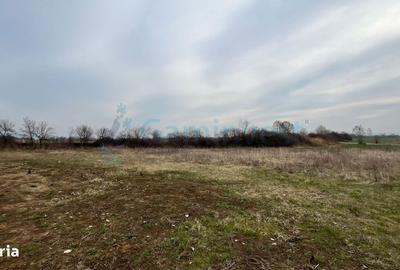 Teren de 5700 mp, în Podgoria - 1