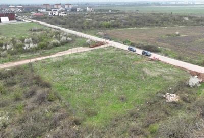 Mogosoaia | Teren intravilan | 2 parcele a cate 933 mp - 4