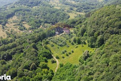 Casă cu Teren 24700 Mp în Copalnic - 6