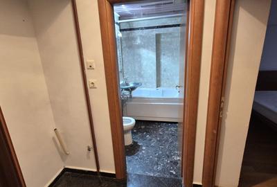 Apartament cu 3 camere, bloc 1990 - bd. Decebal piata Alba Iulia - 9