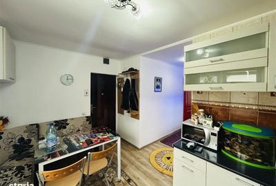 Garsonieră în Terezian - 3