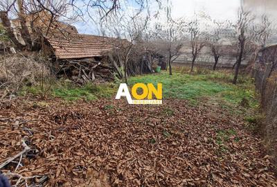 Casă individuală cu 3 camere cu Canalizare în Cetate - 3
