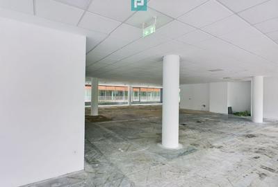 Spatiu birouri clasa A zona de nord, Herastrau. - 7