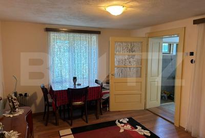 Casa spatioasa de vanzare in Rasinari, Sibiu - 4 camere, pivnita, demisol, curte - 10