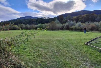 Teren intravilan 6000 mp, Pangarati, cu iesire la raul Bistrita - 2