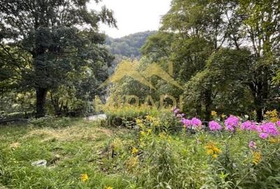 Vanzari Case / Vile - 8