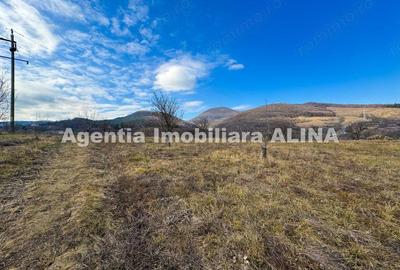 Teren în Călugareni - 8