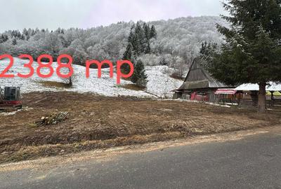 Spațiu comercial, în Scrind-Frăsinet - 3