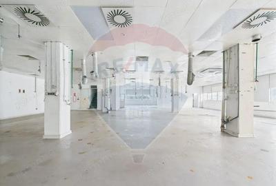 Spa?iu multifunc?ional de birouri ?i produc?ie langa Kaufland Vitan - 3