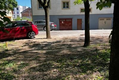 Proprietate specială, de 18 mp, în Aradului - 3