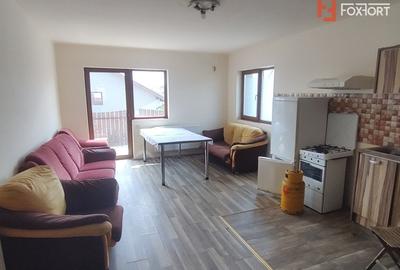 Casa de inchiriat pe 3 niveluri in Dumbravita, pretabila muncitori - 1