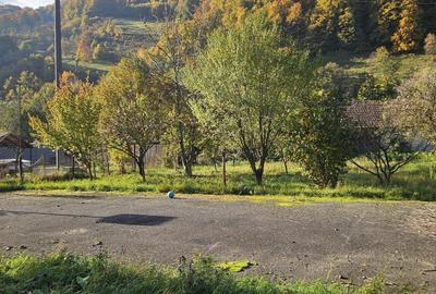 Casă cu 4 camere cu Teren 1800 Mp în Bulz - 2