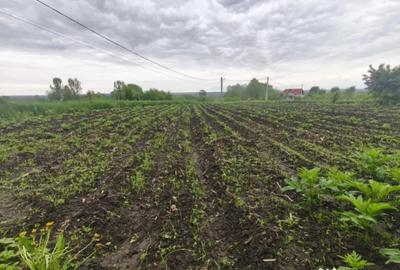 Casă cu 2 camere cu Teren 1600 Mp în Grămești - 10