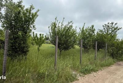 Teren de 1212 mp, în Miroslava - 9