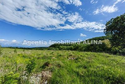 Teren de 4870 mp, în Vulcan - 5