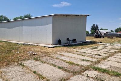 Spațiu comercial, în Dridu - 6