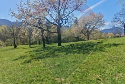 Teren Construcții intravilan de 10279 mp, în Predeluț - 14