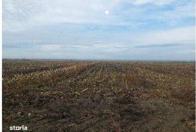 Teren de 5000 mp, în Lunca - 1