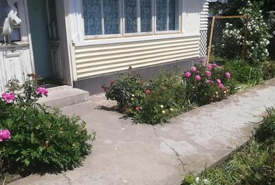Casa Cazasu - 4