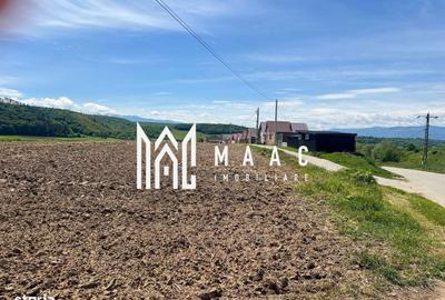 Spațiu comercial, în Cristian - 3