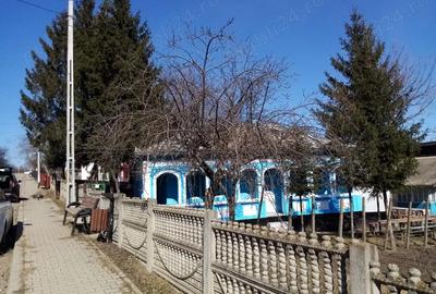 Casă cu Teren 2700 Mp în Iazu Nou - 7